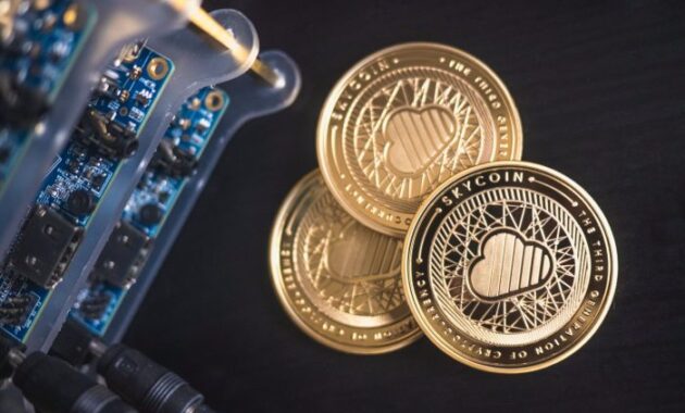 What is a stablecoin? Explore the world of stable digital assets