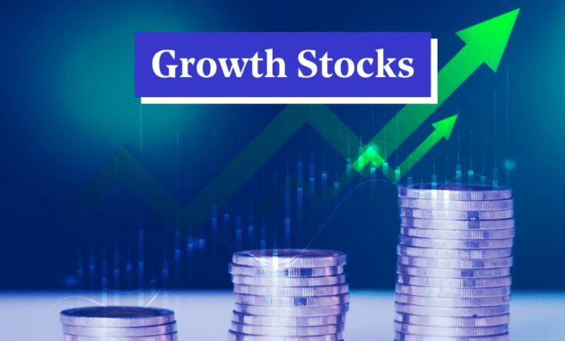 High-growth stocks for long-term gains: Maximizing your investment potential