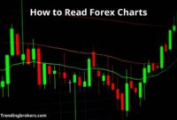 How to read Forex charts: A comprehensive guide for beginners