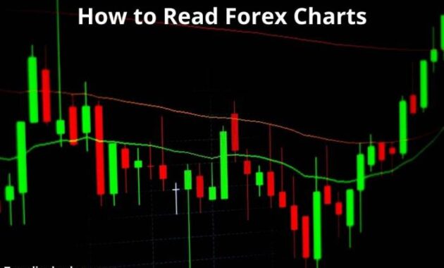 How to read Forex charts: A comprehensive guide for beginners