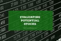 How to assess a stocks growth potential by analyzing key factors for investment success