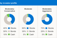 Asset allocation strategies for stock portfolios: Maximizing returns through strategic diversification