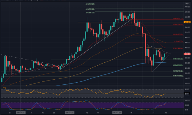 Binance Coin (BNB) value analysis: Uncovering the Cryptocurrencys Market Performance