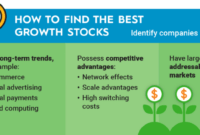 Stocks with the best long-term growth potential