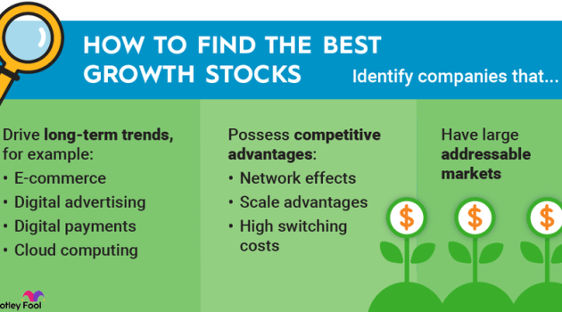Stocks with the best long-term growth potential
